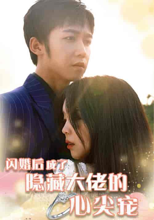 闪婚后成了隐藏大佬的心尖宠（100集全）宴时清＆顾轻轻 - 傲图好剧