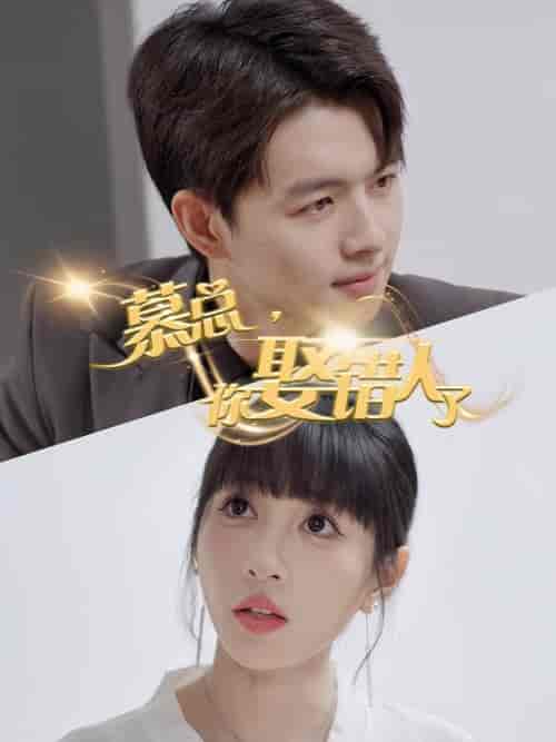 慕总你娶错人了（40集全） - 傲图好剧