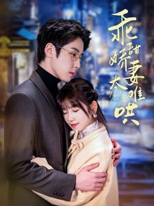 乖甜娇妻太难哄（100集全）曲笑孝 - 傲图好剧