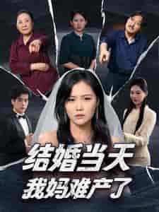 结婚当天我妈难产了（80集全） - 傲图好剧