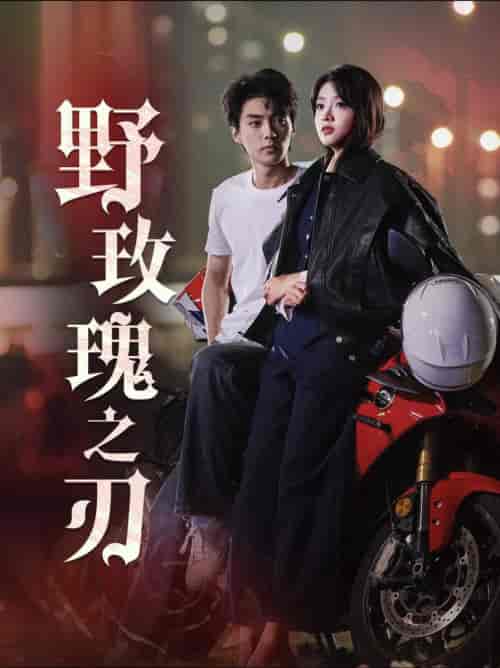 野玫瑰之刃（96集全）刘兰博 - 傲图好剧