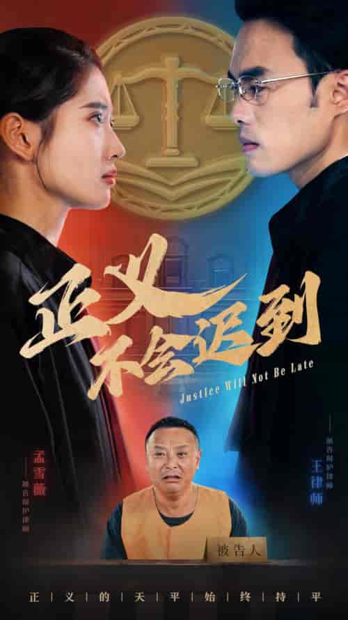 正义不会迟到（40集全） - 傲图好剧