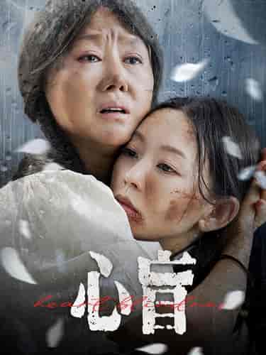 心盲（100集） - 傲图好剧