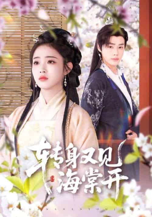 转身又见海棠开（79集）寿晓卿＆缪佳汝 - 傲图好剧