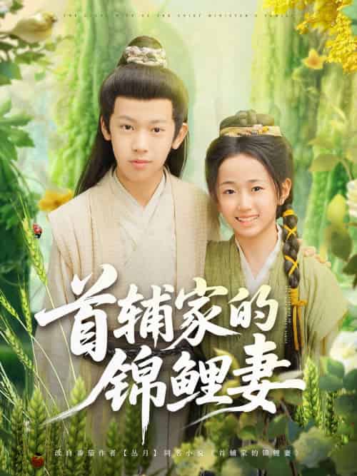 首辅家的锦鲤妻（82集）刘星辰＆杨景天 - 傲图好剧