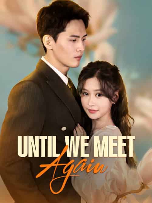 Until We Meet Again Until We Meet Again