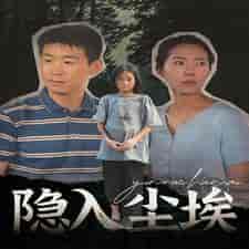 隐入尘埃（30集） - 傲图好剧