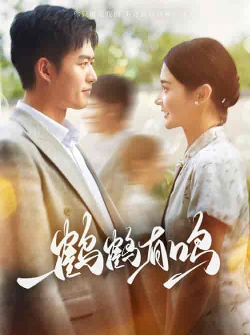 鹤鹤有鸣（87集全）舒童＆觅七 - 傲图好剧