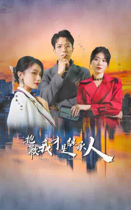 抱歉我才是继承人（31集全）傅汉源＆诸玲颖 - 傲图好剧
