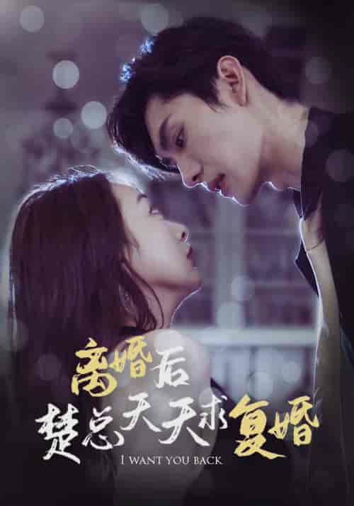 离婚后楚总天天求复婚（87集） - 傲图好剧