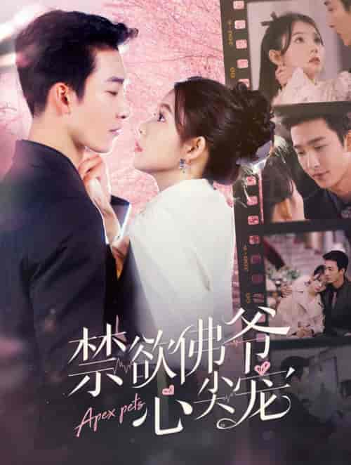 禁欲佛爷心尖宠（101集全）姚冠宇＆林籽蓉 - 傲图好剧