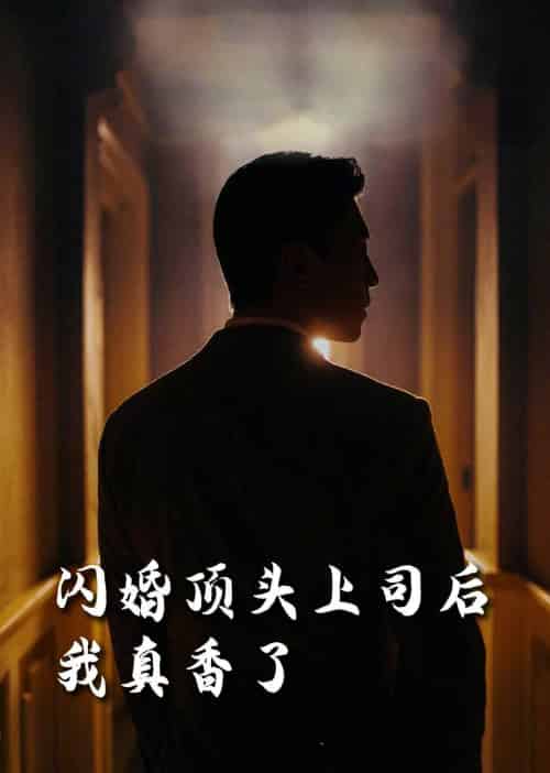 闪婚顶头上司后我真香了（80集全）潘悦铭＆刘星辰＆攒攒＆袁颖 - 傲图好剧