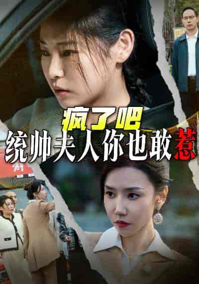 疯了吧统帅夫人你也敢惹（33集全） - 傲图好剧