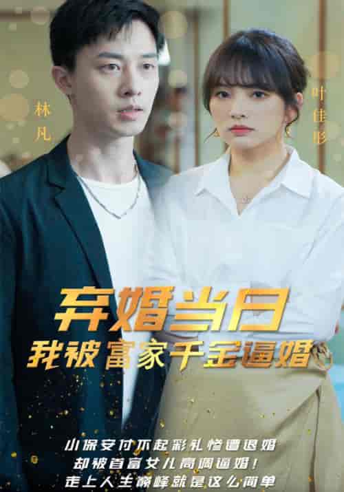 弃婚当日，我被富家千金逼婚（98集全）林凡＆叶佳彤 - 傲图好剧