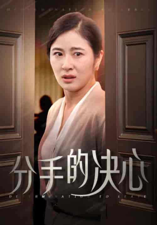 分手的决心（39集全） - 傲图好剧