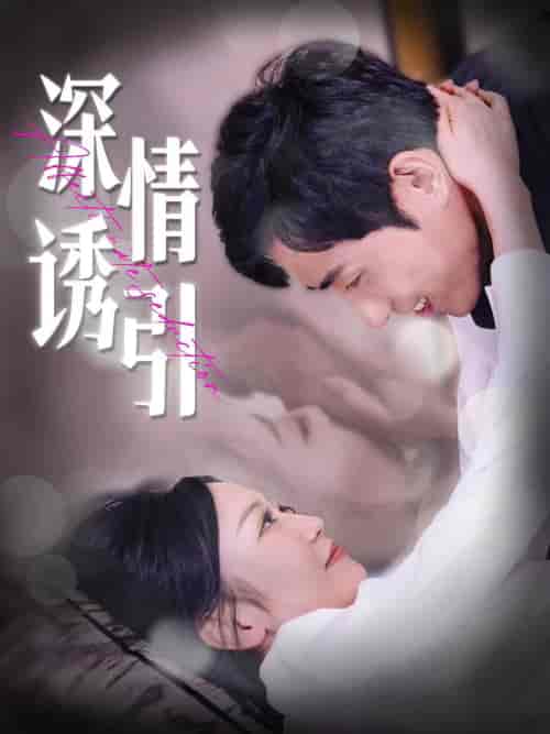 深情诱引 深情诱引