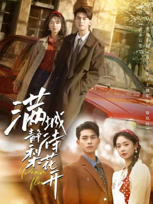 满城静待梨花开（100集全）韦若辰＆张紫菡 - 傲图好剧
