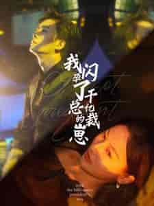 我闪孕了千亿总裁的崽（87集全） - 傲图好剧