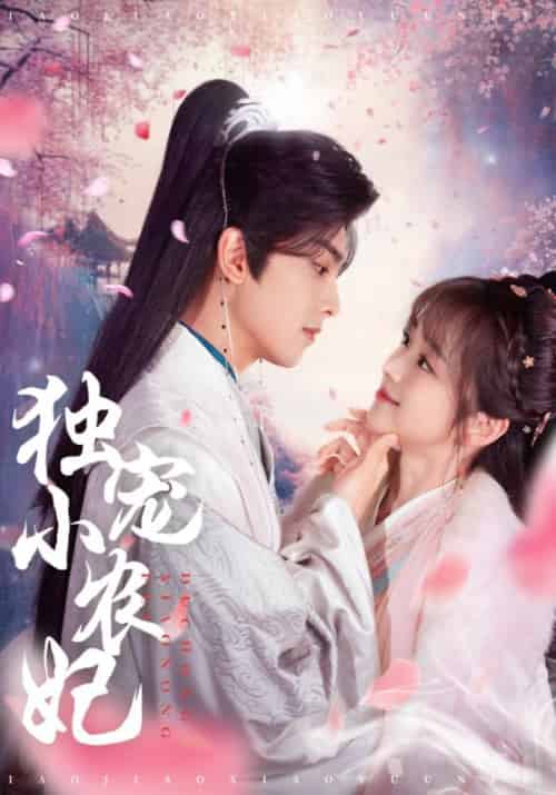 独宠小农妃（63集全）韦若辰＆蔡淼燕 - 傲图好剧