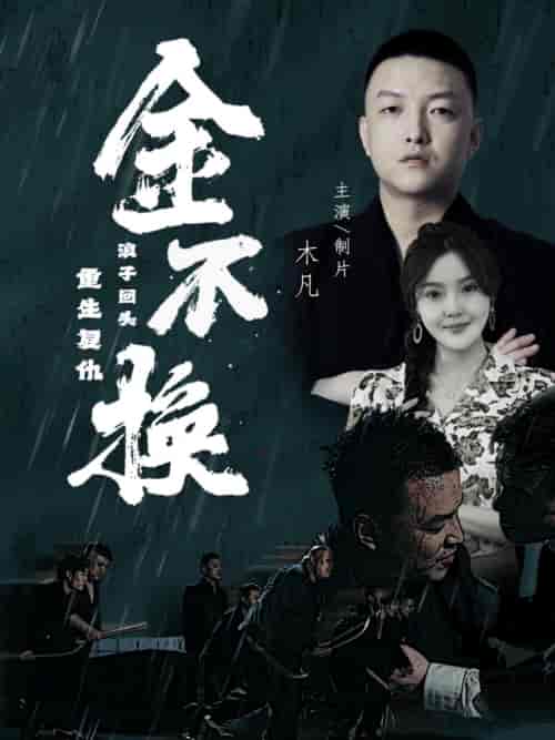金不换（32集） - 傲图好剧