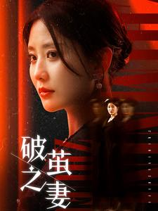 破茧之妻＆婚姻的救赎（46集全） - 傲图好剧