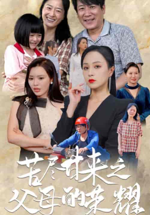 苦尽甘来之父母的荣耀（86集） - 傲图好剧