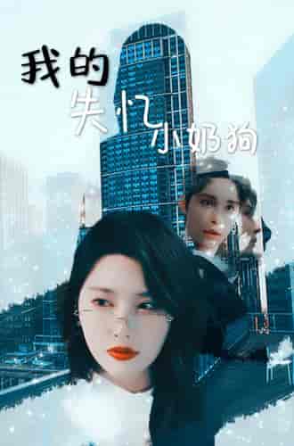 我的失忆小奶狗 我的失忆小奶狗