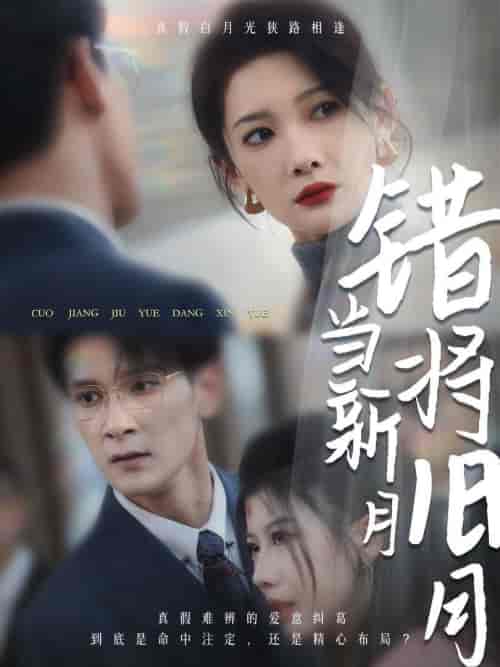 错将旧月当新月（35集全） - 傲图好剧
