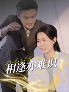 相逢亦难识（50集全） - 傲图好剧