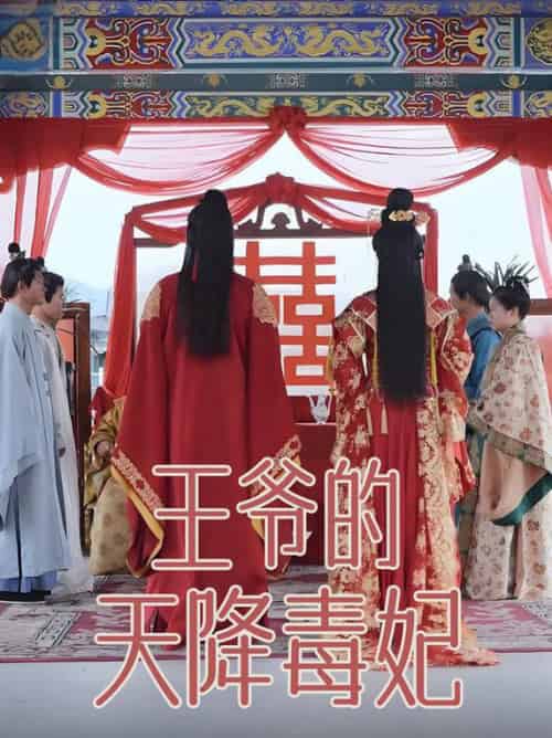 王爷的天降毒妃（73集全）樊纾宁 - 傲图好剧