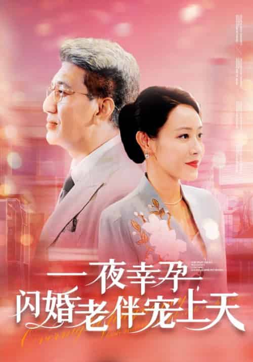 一夜幸孕，闪婚老伴宠上天（79集全）周敬山＆陈文岚 - 傲图好剧