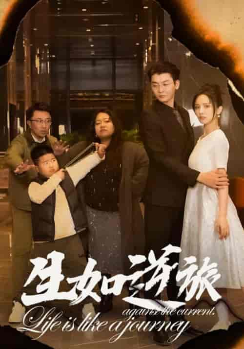 生如逆旅（31集全） - 傲图好剧