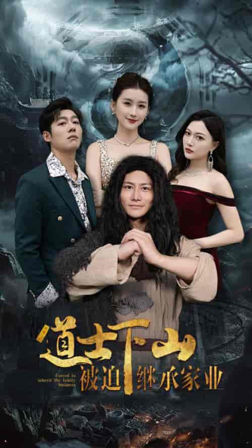 道士下山被迫继承家业（58集全） - 傲图好剧
