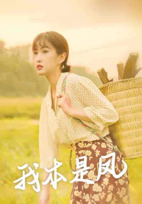 我本是凤（66集全）张亮＆秦芳 - 傲图好剧