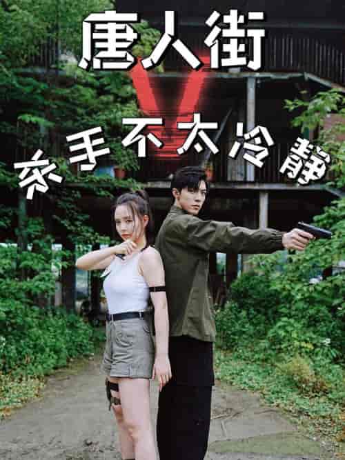 唐人街杀手不太冷静 唐人街杀手不太冷静