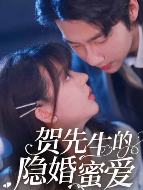 贺先生的隐婚蜜爱 贺先生的隐婚蜜爱