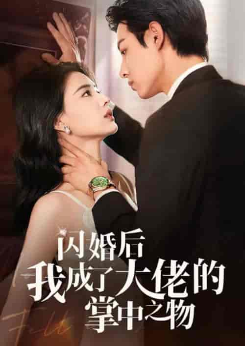 闪婚后我成了大佬的掌中之物（64集全）张楚萱＆马小宇 - 傲图好剧