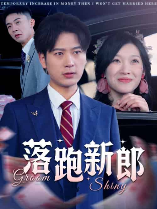 落跑新郎（80集全） - 傲图好剧