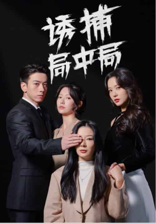诱捕局中局＆夜色暗涌（42集全）孙飞翔＆林初 - 傲图好剧