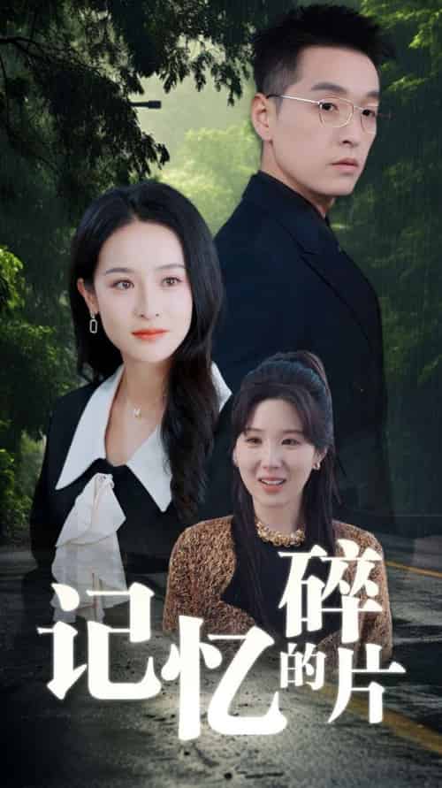 记忆的碎片（50集全）赵龙＆王蔼玲 - 傲图好剧