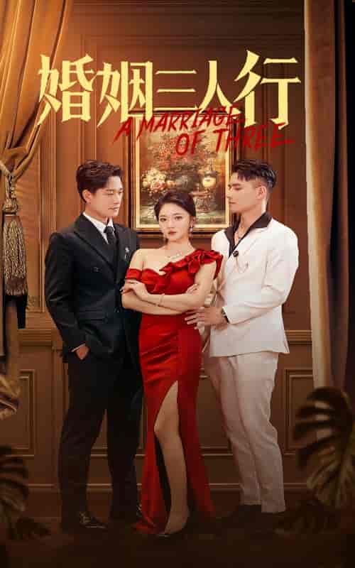 婚姻三人行（31集全） - 傲图好剧