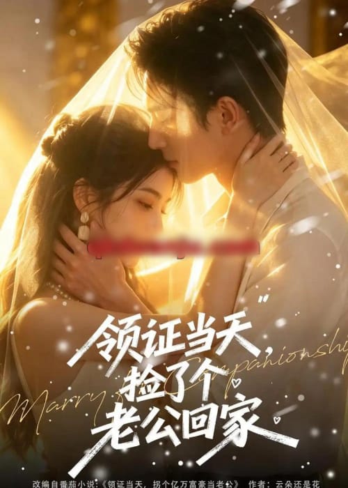 领证当天，捡了个老公回家（80集全）AI短剧