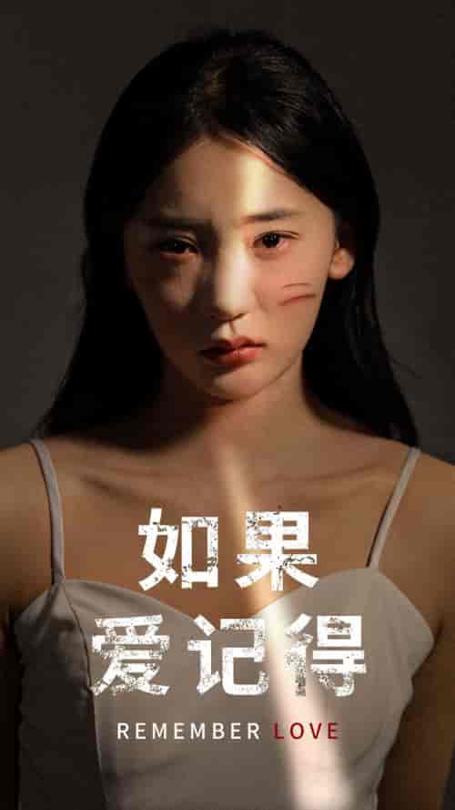 如果爱记得（60集） - 傲图好剧