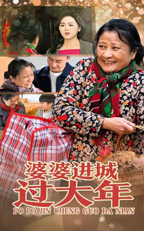 婆婆进城过大年（33集） - 傲图好剧