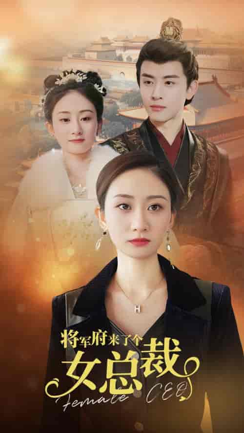 将军府来了个女总裁(88集)