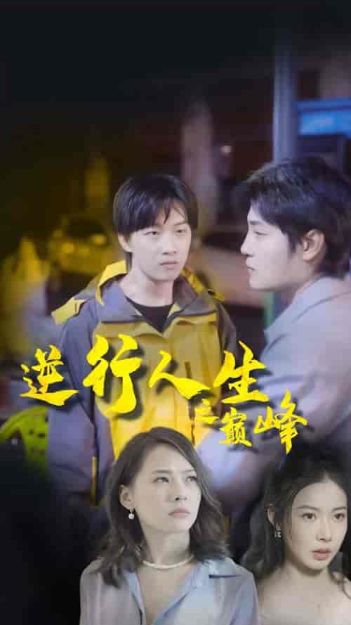 逆袭人生之巅峰（92集） - 傲图好剧