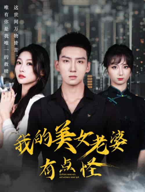 我的美女老婆有点怪（65集全）霍文琦 - 傲图好剧