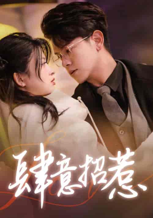 肆意招惹（92集） - 傲图好剧