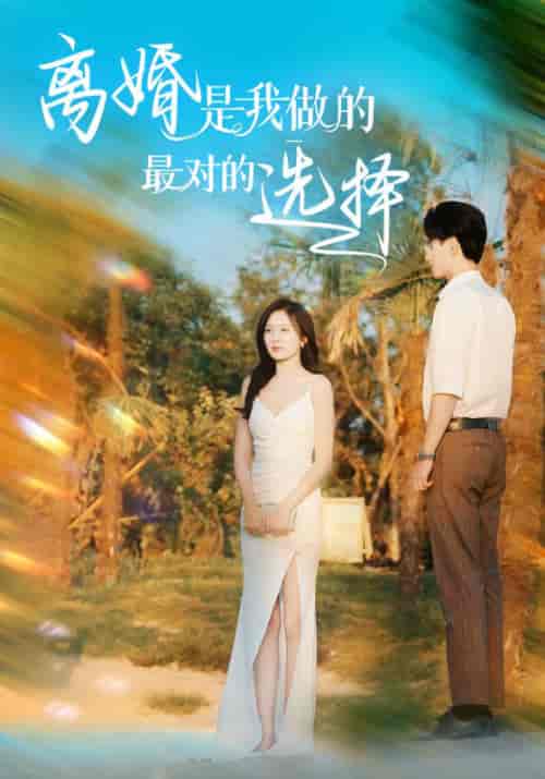 离婚是我做的最对的选择（48集全）萧逸尘＆林涵 - 傲图好剧