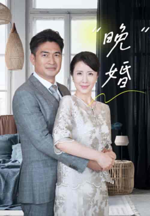 晚婚（65集全）刘美希 - 傲图好剧